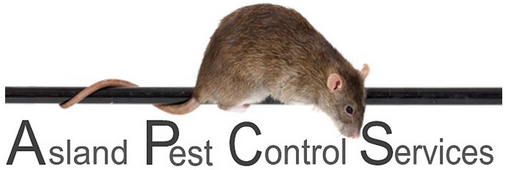 Asland Pest Control Services